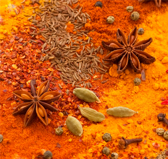 Single Spices & Ayurvedic Seasoning Blends